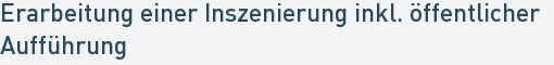 Erarbeitung einer Inszenierung inkl. öffentlicher
Aufführung Erarbeitung einer Inszenierung inkl. öffentlicher
Aufführung