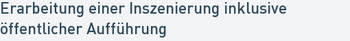 Erarbeitung einer Inszenierung inklusive
öffentlicher Aufführung Erarbeitung einer Inszenierung inklusive
öffentlicher Aufführung