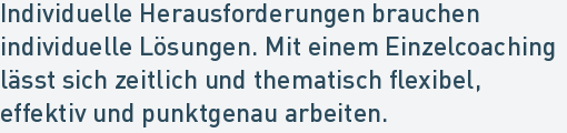 Individuelle Herausforderungen brauchen
individuelle Lösungen. Mit einem Einzelcoaching
lässt sich zeitlich und thematisch flexibel,
effektiv und punktgenau arbeiten.